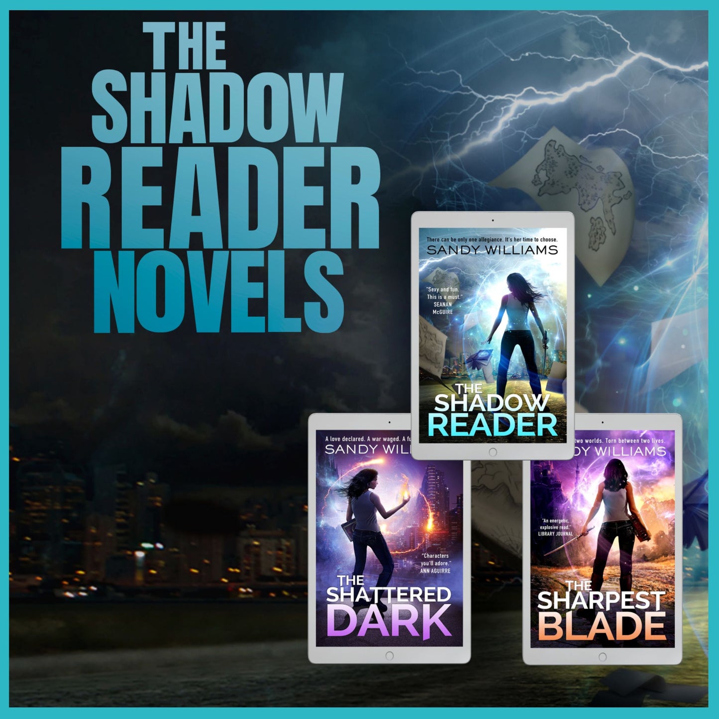 The Shadow Reader Book Bundle