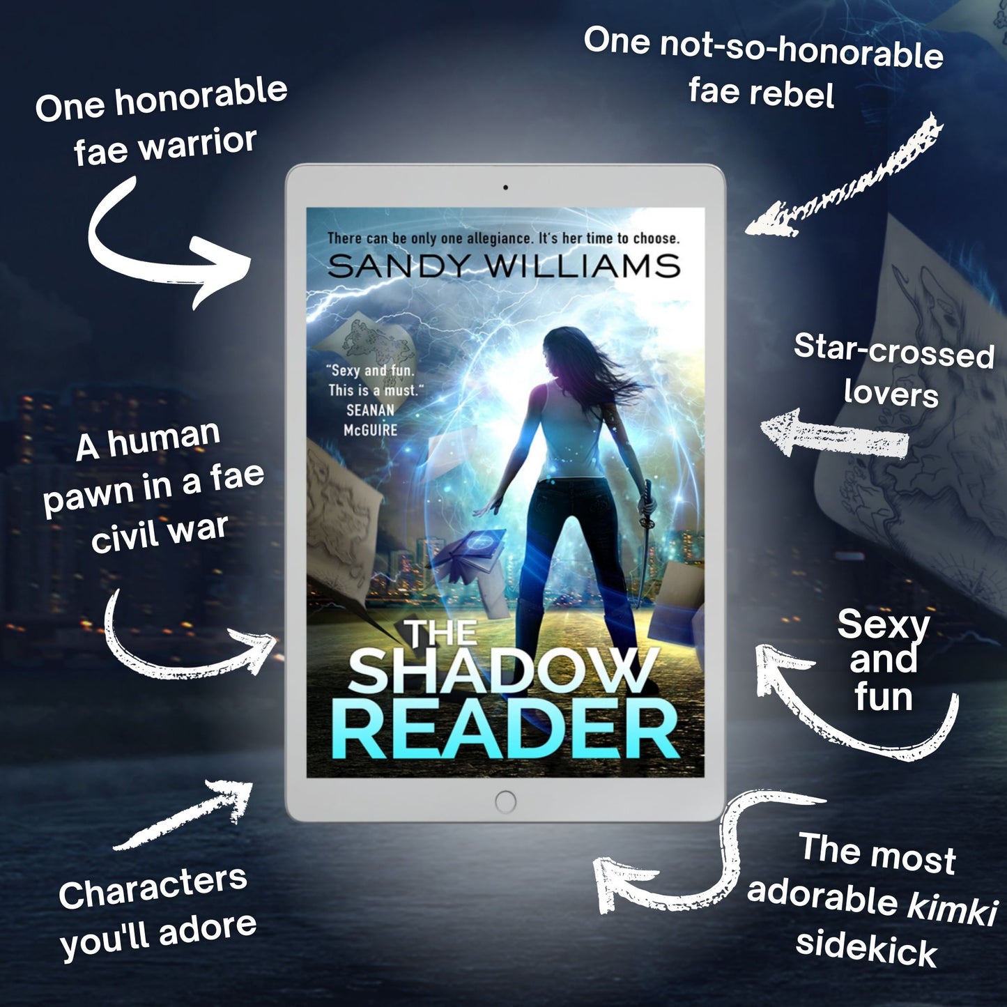 The Shadow Reader Book Bundle